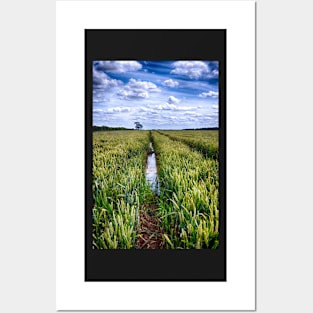 Flooded Tractor Tracks Posters and Art